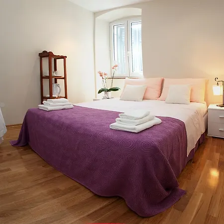 Bouganvillea 3*